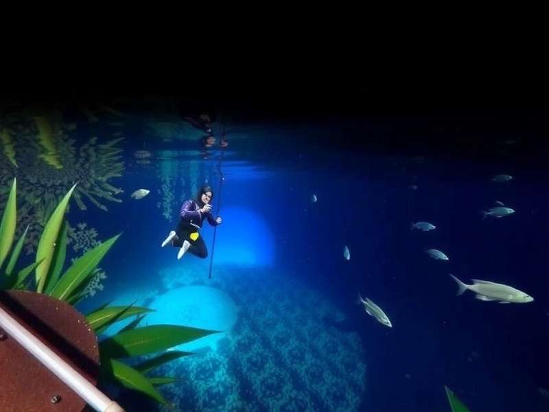 Ponda Marine Odyssey Underwater Exploration